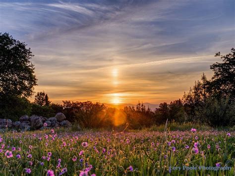 This Mornings Sunrise With Sun Pillar From My Backyard In Redding