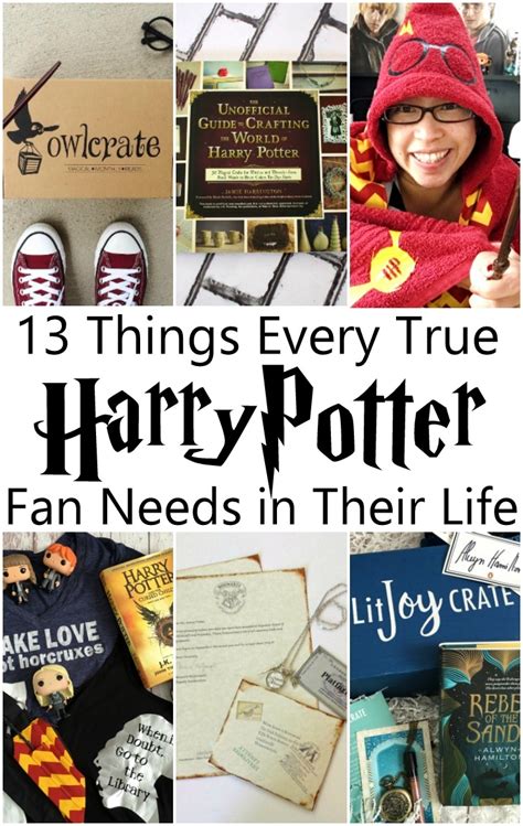 13 Things Every Harry Potter Fan Needs Rae Gun Ramblings