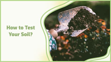 Understanding Your Soil Test Results For Improved Gardening