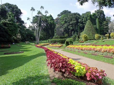 Philipveerasingam Botanical Gardens Peradeniya Sri Lanka