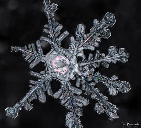 How To Photograph Snowflakes With A Dslr