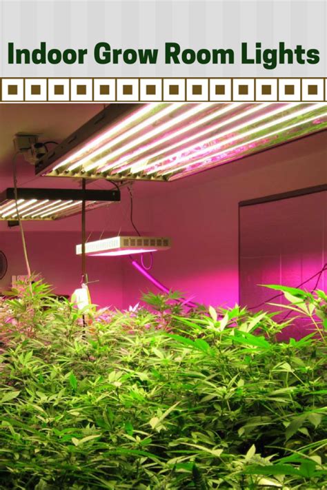 Indoor Grow Room Lights How To Choose A Grow Light — Hydro Ac