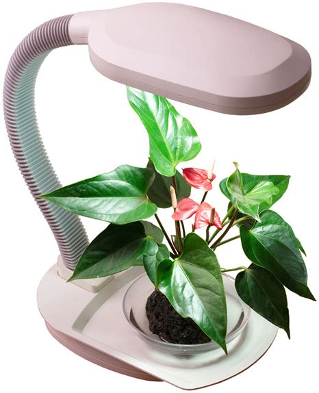 Desktop Plant Light With Flexible Arm Growers Supply Company