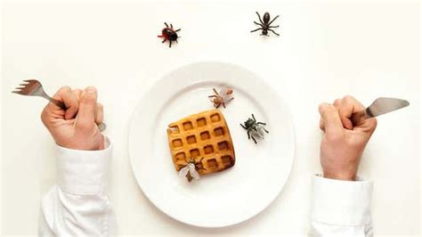 Insect Fat Tastes Just Like Butter In Belgian Waffles