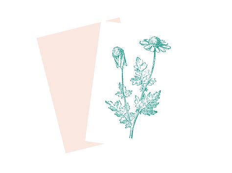 Services - Nurturing Bear