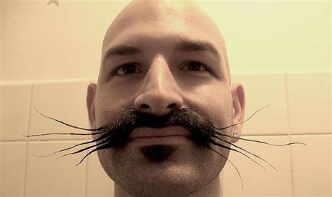 Funny Bald People With Mustaches