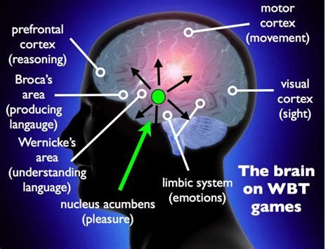 Short Course On The Brain With Images Whole Brain Teaching