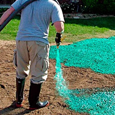 Seeding your own lawn can be a very daunting experience for newbies as it requires careful following of instructions and constant care. Should You Consider Hydroseeding for Your Lawn? | Seeding lawn, Diy backyard landscaping ...