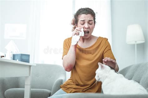 Scopriamo insieme come si mette il mascara, svelandoti qualche trucco a prova di make up artist, per avere ciglia lunghe e folte, quasi effetto ciglia finte! Donna Che Si Mette Il Gatto E Starnutisce Con Allergia ...