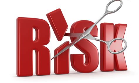 What are the basic 5 steps of project risk management? | VComply