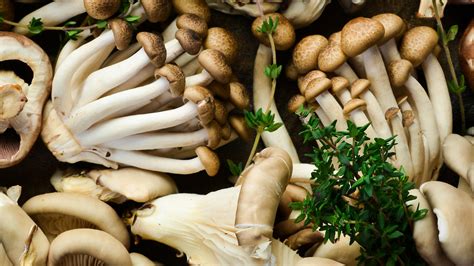 The Most Nutritious Way To Cook Mushrooms