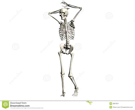 Skeleton Illustration stock illustration. Illustration of death - 2897824
