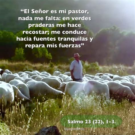 Salmo El Se Or Es Mi Pastor Nada Me Falta Salmo Salmos Biblia Cat Lica