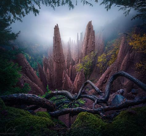 20 Beautiful Nature Photos That Will Leave You Speechless