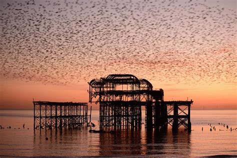 Starling Murmuration At Sunset West Pier Brighton England Photograph