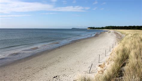 ✅ von 29 künstlern ✅ und viele weitere ideen. Strandhaus Göhren auf Rügen