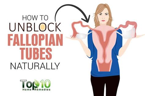 Self Care Tips For Blocked Fallopian Tubes Emedihealth Fallopian