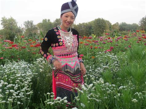 pin-by-maya-lor-on-hmong-clothes-hmong-clothes,-fashion