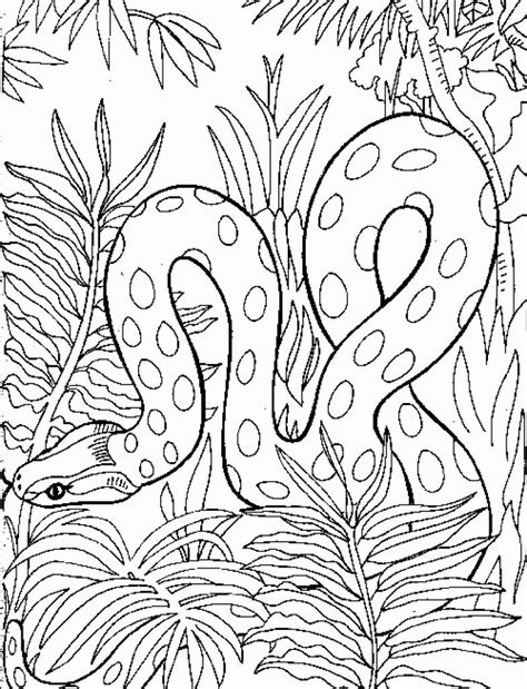 Australian Snakes Coloring Pages