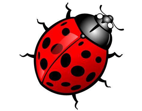 Free Free Bug Clipart Download Free Clip Art Free Clip