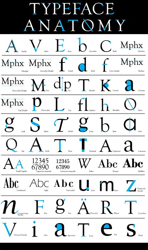 Anatomy Of A Typeface Inputfu