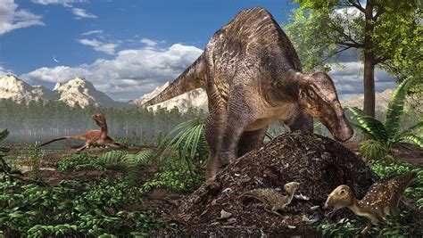 Some people see a difference: Dinosaurs built different nests, depending on where they lived