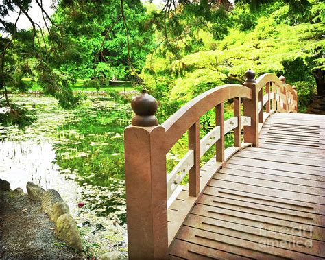 Japanese Garden Bridge In Bc Photograph By Maria Janicki Fine Art America