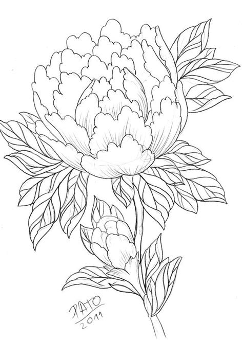 Pin By Shannan On Tattoo Peony Drawing Flower Line Drawings Drawings