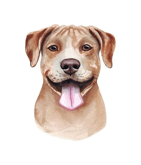 Ilustração em aquarela de um cachorro engraçado raça de cachorro
