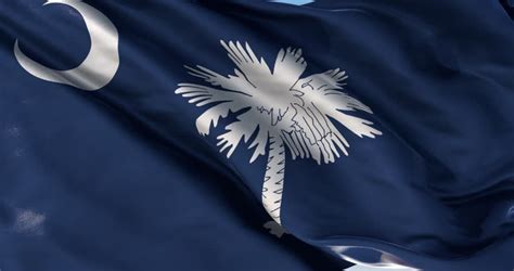 South Carolina Flag Stock Footage Video Shutterstock