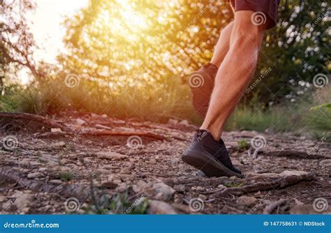 Man Legs Running On Trail In The Mountains Stock Image Image Of