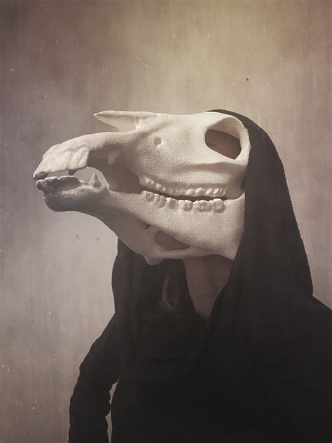 Movable Horse Skull Mask Creepy Mask Anatomical Horse Skull Etsy