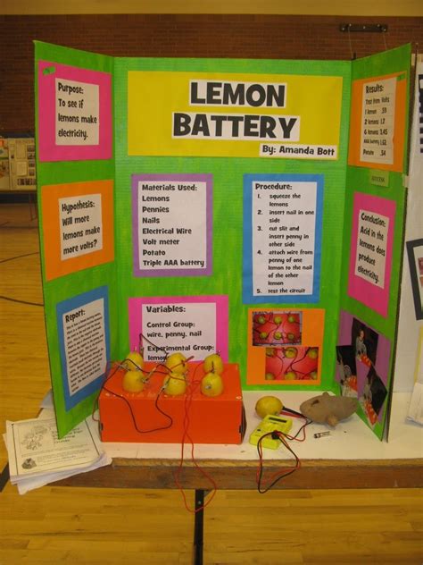 10 Most Recommended Cool Science Fair Project Ideas 2024