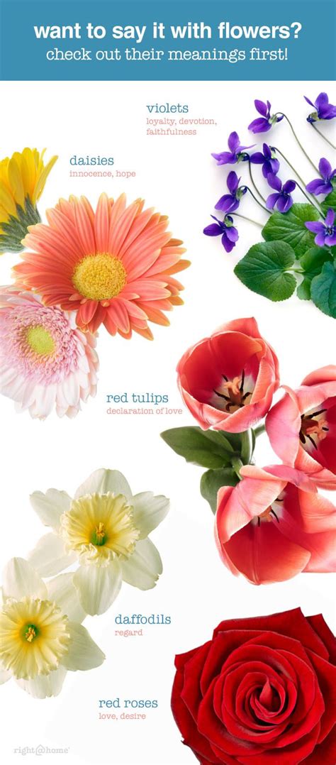 Indeed these flowers have very romantic meanings, but they aren't the only ones as you shall soon find out. SC Johnson: Our Products | Flower meanings, Flowers ...