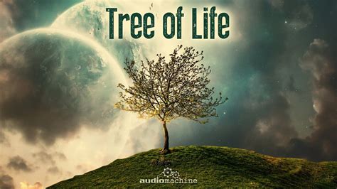 Audiomachine Tree Of Life Full Album Hq Youtube