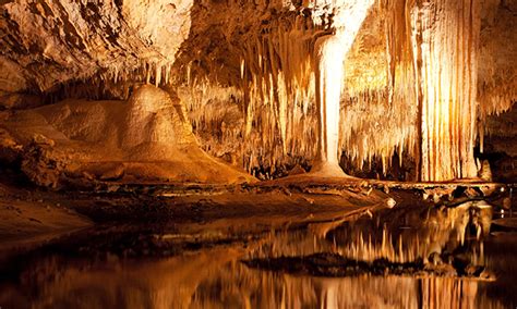 Zobacz, co zdzisława drach (dzidkadrach) odkrył(a) na pintereście — największej na świecie kolekcji pomysłów. Onboard Experience - Royal Caribbean International