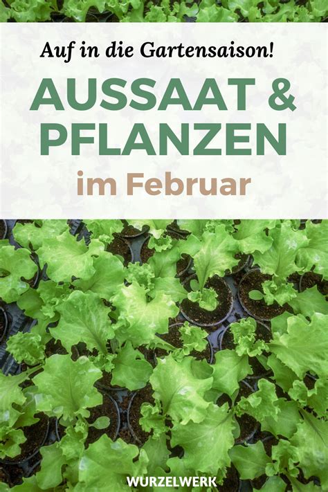 Unser garten im februar hat nicht wirklich viel zu zeigen. Aussaat & Pflanzen im Februar + Beispiel-Gartenplan ...