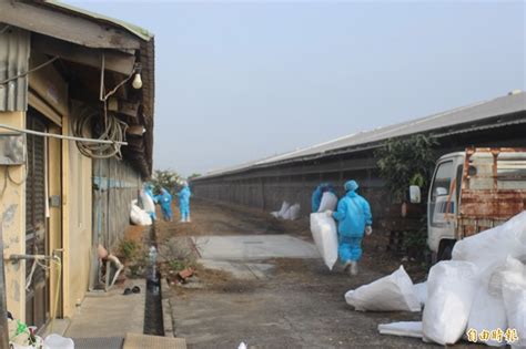 May 30, 2021 · 雲林縣政府指出，今日全國新增本土355例(含校正回歸)，本縣無新增個案，累積確診維持11例，公告(案7315、案7674、案7738、案8058)等4例，彰化、嘉義. 2020第一例禽流感 雲林撲殺2萬多隻土雞 - 生活 - 自由時報電子報