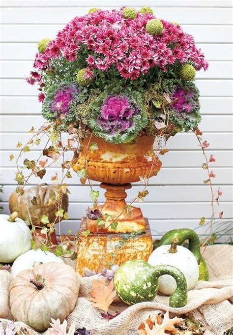 Fall Container Gardening With Ornamental Cabbage And Kale