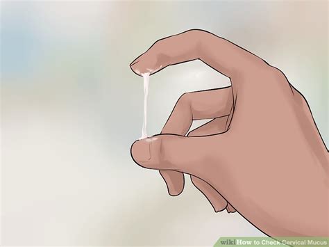 How To Check Cervical Mucus 11 Steps With Pictures Wikihow