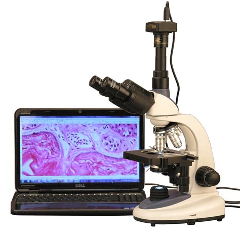 Amscope 40x 2500x 1w Led Trinocular Compound Microscope With 10mp