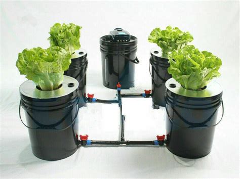 Quad Gallon Deep Water Culture Dwc Grow Bucket Hydroponic System My