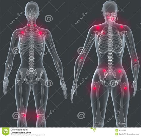Human anatomy help you in basic and detail information about human body. Triggerpoints stock illustration. Illustration of ...