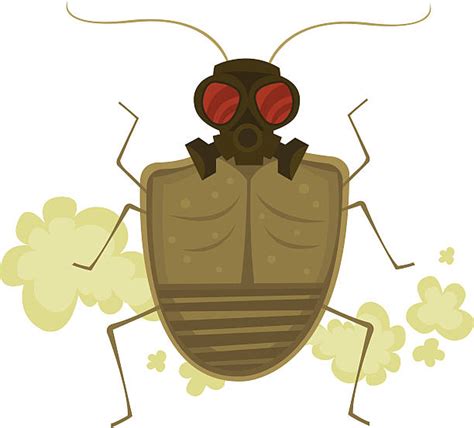 Royalty Free Stink Bug Clip Art Vector Images And Illustrations Istock