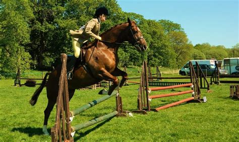 A Visual Guide To 35 Different Horse Jumps By Discipline Horse Factbook