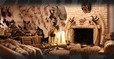 See more ideas about hunting room, trophy rooms, hunting decor. These 11 Hunters' Trophy Rooms Are Completely Unbelievable
