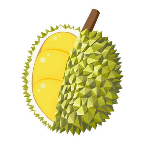 Clipart Durian 20 Free Cliparts Download Images On Clipground 2023