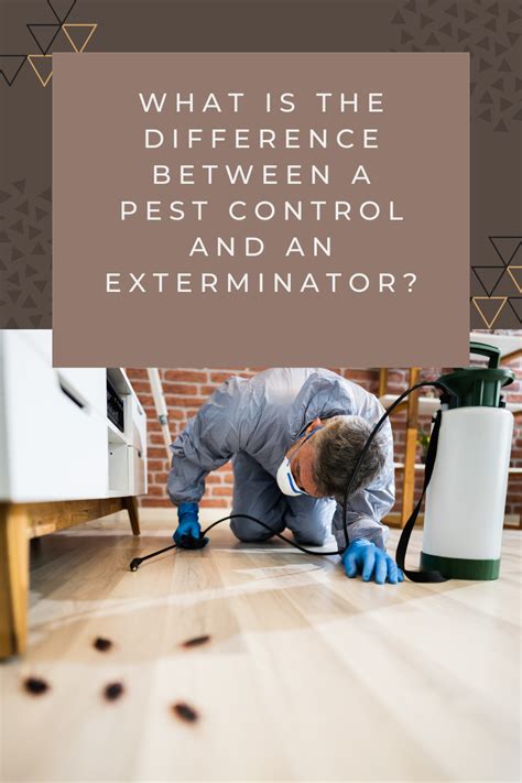 What Is The Difference Between A Pest Control And An Exterminator