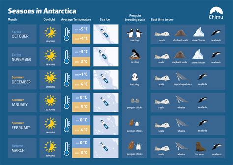 Best Time To Travel To Antarctica Everything You Need To Know