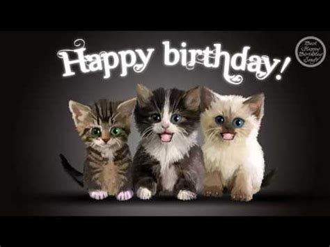 Beside normal happy birthday wishes, there much be a factor of fun with your friends and loved ones. Happy Birthday cats - YouTube
